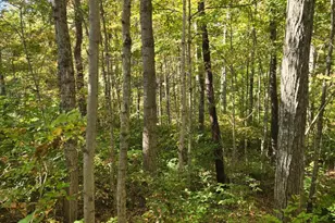 2299 St Rt 134, Sardinia, OH 45171 - Photo 27