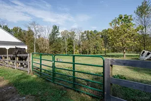 6500 Morrow Rossburg Rd, Salem Township, OH 45152 - Photo 47