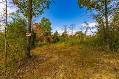 1781 Foster Road, West Union, OH 45693 - Photo 39