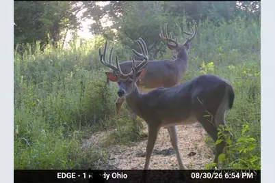 4140 State Route 763, Huntington Township, OH 45167 - Photo 21