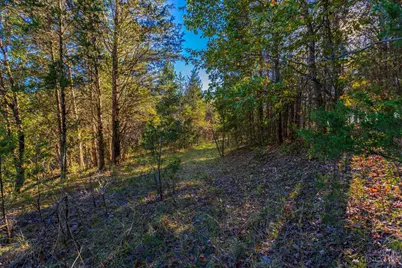 0 Bentonville Road, West Union, OH 45693 - Photo 17