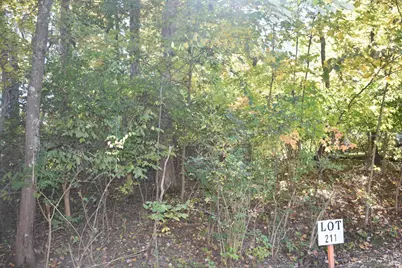 0 Schlitz Drive #211, Perry Township, OH 45118 - Photo 1