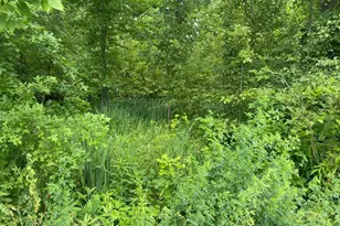 0 Denny Dr, Pierce Township, OH 45102 - Photo 1