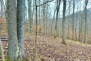 0 Golley Rd, Otway, OH 45657 - Photo 1