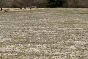 7798 St Rt 350, Green Township, OH 45159 - Photo 1