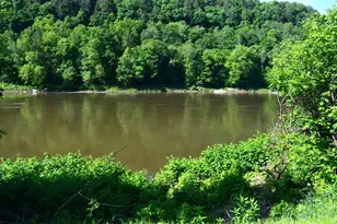 714 River Ave, Emlenton, PA 16373 - Photo 11