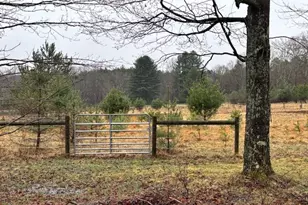 5226 Blood Rd, Marienville, PA 16239 - Photo 39