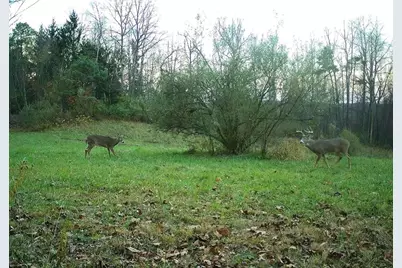 0 Lower Mudlic Rd, Mayport, PA 16240 - Photo 19