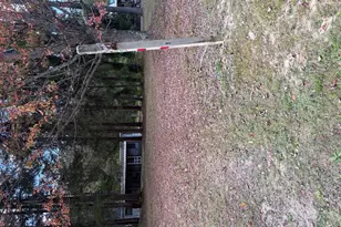 43475 Route 66, Marienville, PA 16239 - Photo 9