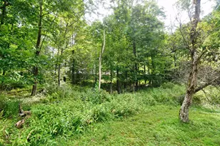 456 Preacher Hill Rd, Tidioute, PA 16341 - Photo 5