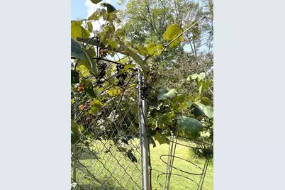 190 Sara Lane, Kennerdell, PA 16374 - Photo 49