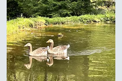 190 Sara Lane, Kennerdell, PA 16374 - Photo 7