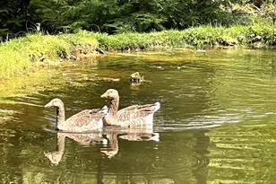 190 Sara Ln, Kennerdell, PA 16374 - Photo 7