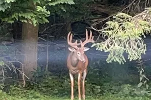 1110 W 3rd, Oil City, PA 16301 - Photo 7