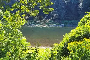 1744 Rockland Station Rd, Kennerdell, PA 16374 - Photo 11