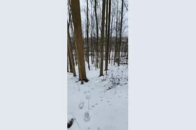 00 Phillipston Rd, Rimersburg, PA 16258 - Photo 7