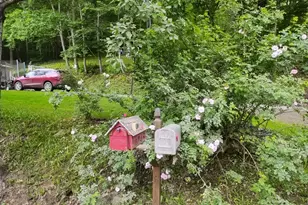 1243 Trout Run Rd, Titusville, PA 16354 - Photo 3