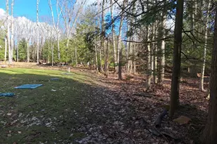 1955 Greenwood Rd, Marienville, PA 16239 - Photo 43