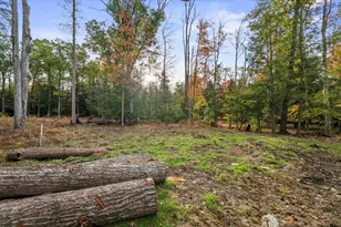 1955 Greenwood Rd, Marienville, PA 16239 - Photo 39