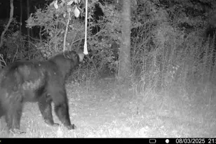 10019 Dingman Rd, Guys Mills, PA 16327 - Photo 45