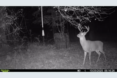 10019 Dingman Road, Guys Mills, PA 16327 - Photo 43