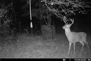 10019 Dingman Rd, Guys Mills, PA 16327 - Photo 43