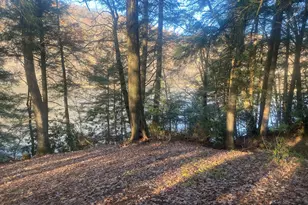 6042 Route 62, Tionesta, PA 16353 - Photo 27