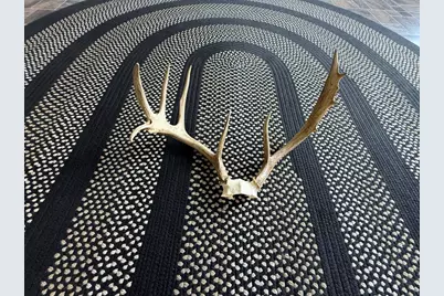 5657 Fleming Hill Rd, Tidioute, PA 16351 - Photo 55