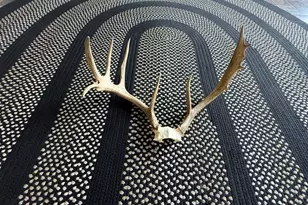 5657 Fleming Hill Rd, Tidioute, PA 16351 - Photo 55