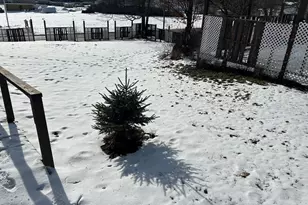 939 Watson Rd, Titusville, PA 16354 - Photo 27