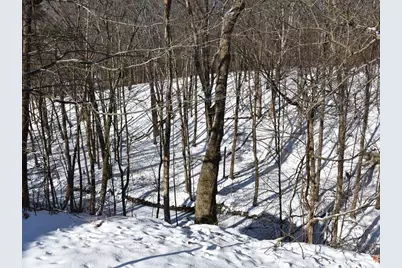 906 Erie Street, Saegertown, PA 16433 - Photo 43