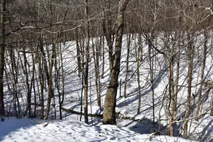 906 Erie St, Saegertown, PA 16433 - Photo 43