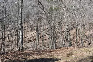 906 Erie St, Saegertown, PA 16433 - Photo 11