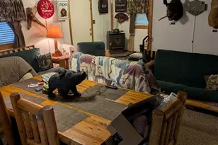 144 Watson Ln, Tionesta, PA 16353 - Photo 5