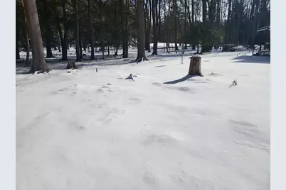 225 Buck Run Road, Marienville, PA 16239 - Photo 25