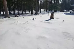 225 Buck Run Rd, Marienville, PA 16239 - Photo 25