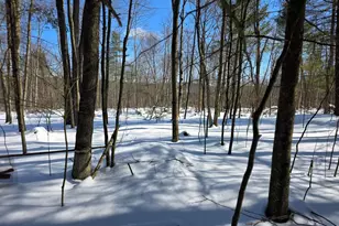 124 McDonald, Tionesta, PA 16353 - Photo 17