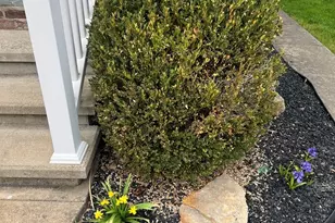 501 Penn St, New Bethlehem, PA 16242 - Photo 3