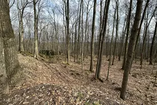 220 Thomas, Kennerdell, PA 16374 - Photo 21