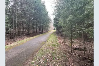 41164 Route 66, Marienville, PA 16239 - Photo 5