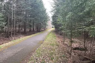 41164 Route 66, Marienville, PA 16239 - Photo 5