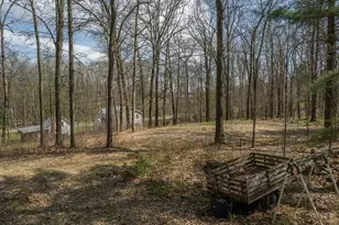 2321 Red Brush Rd, Tionesta, PA 16353 - Photo 17