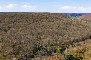 356 German Hill Rd, Tionesta, PA 16353 - Photo 33