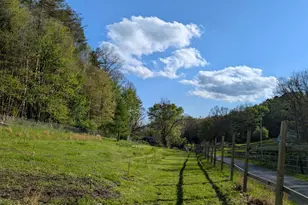1760 Jordan Hollow Rd, Parker, PA 16049 - Photo 43