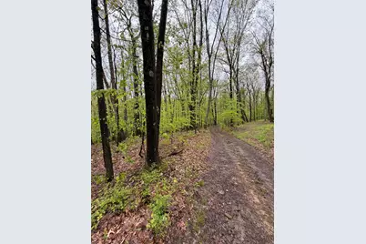 318 Upper Lease Road, West Hickory, PA 16351 - Photo 1