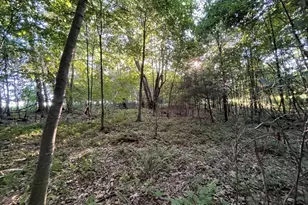 1226 Mercer Rd, Franklin, PA 16323 - Photo 23