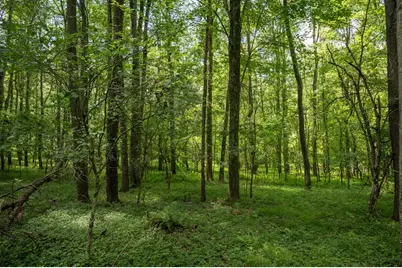 289 Deer Run Road, Corisca, PA 15829 - Photo 49