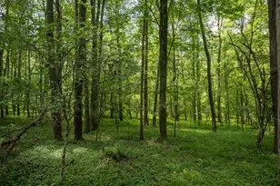 289 Deer Run Rd, Corisca, PA 15829 - Photo 49