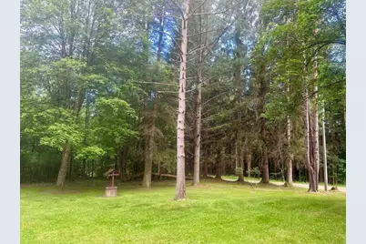 3883 Guitonville Road, Marienville, PA 16248 - Photo 7