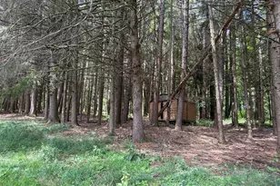 923 Meadville Rd, Titusville, PA 16354 - Photo 37